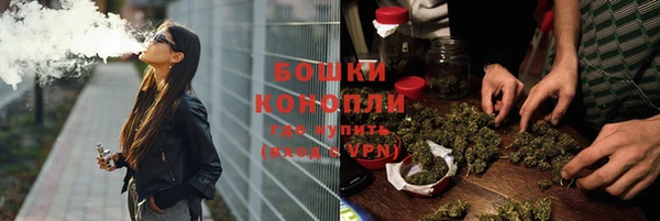 гидра Рославль
