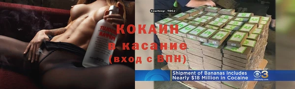 гидра Рославль