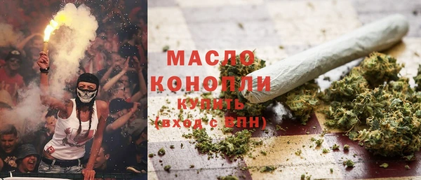 гидра Рославль
