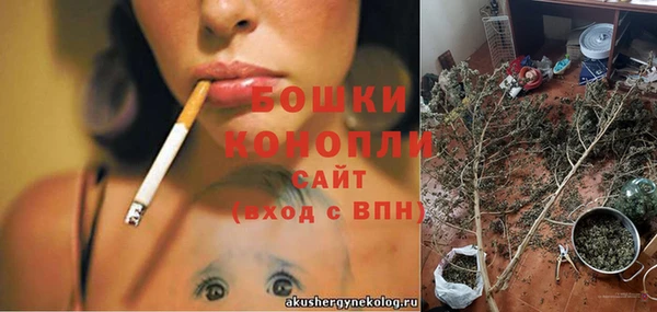 гидра Рославль