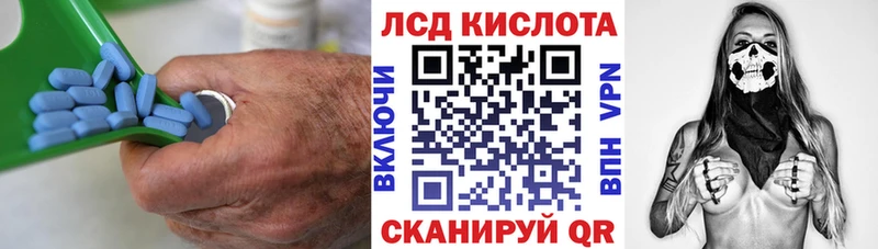 дарнет шоп  Светлогорск  Лсд 25 экстази кислота 