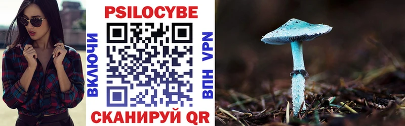 хочу наркоту  Светлогорск  Псилоцибиновые грибы Psilocybine cubensis 