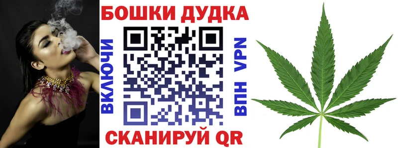 купить закладку  Светлогорск  Канабис сатива 